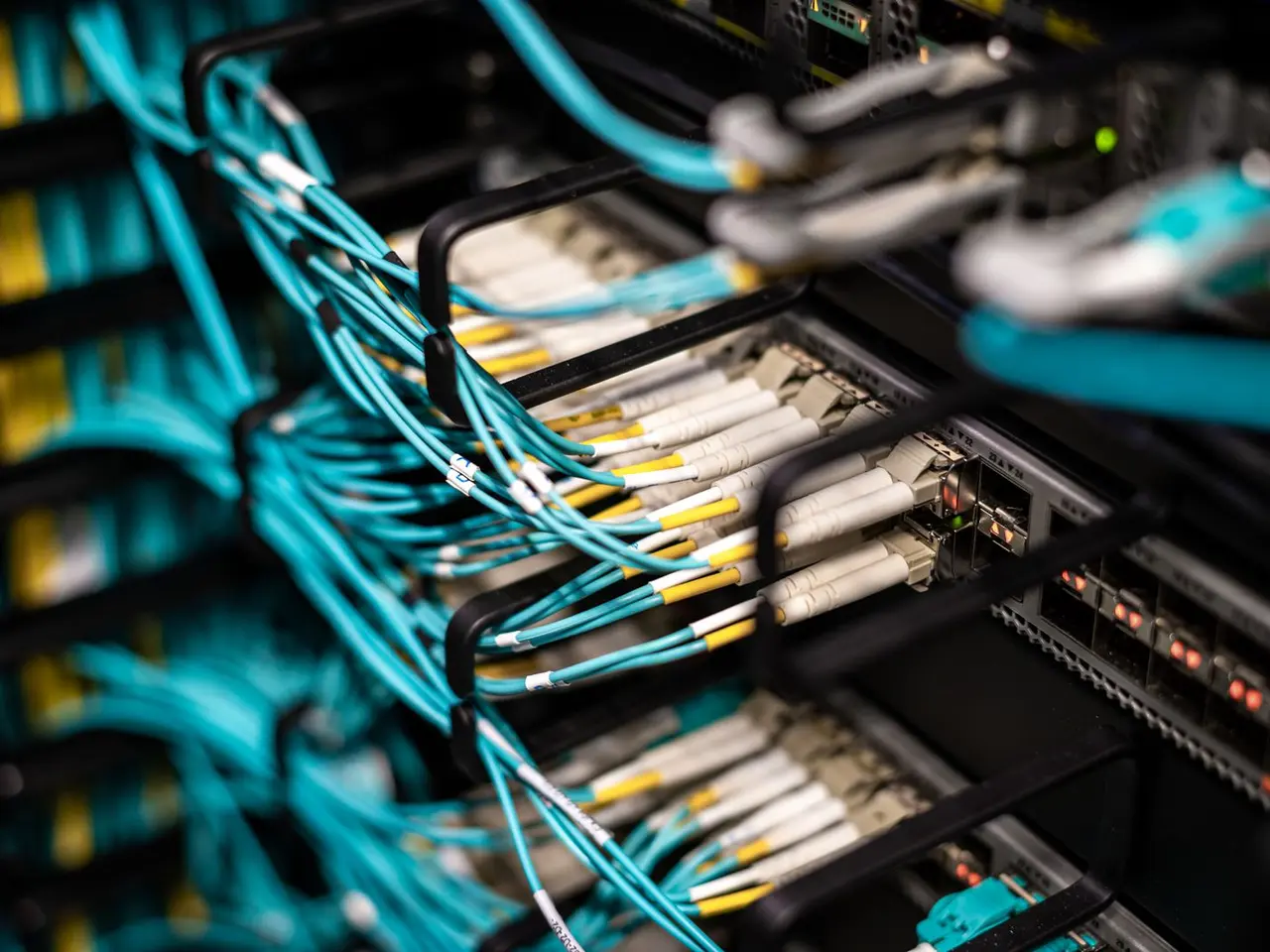 Türkise Netzwerkkabel an einem Patchpanel, die Systeme miteinander verbinden